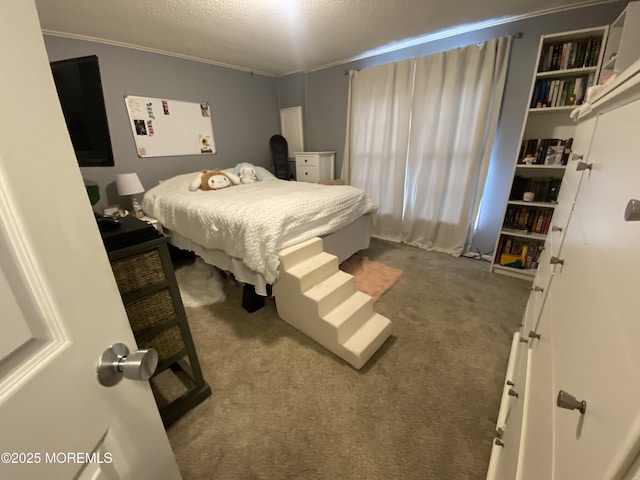 89 Seattle Slew Dr, Howell, NJ 07731 - bedroom with dark carpet and crown molding