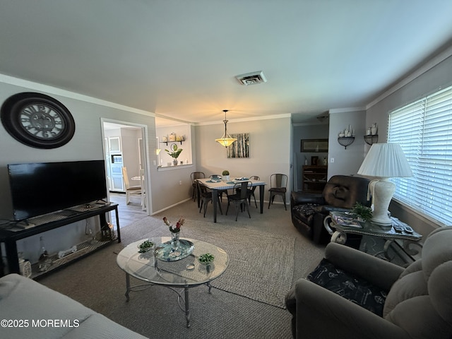 1134A Argyll Cir, Lakewood, NJ 08701 - carpeted living room with ornamental molding and baseboards
