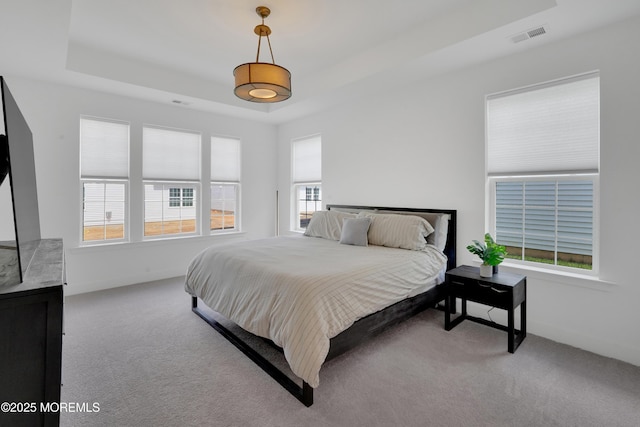 69 Starlight Dr, Monroe, NJ 08831 - bedroom with a raised ceiling, carpet floors, and baseboards