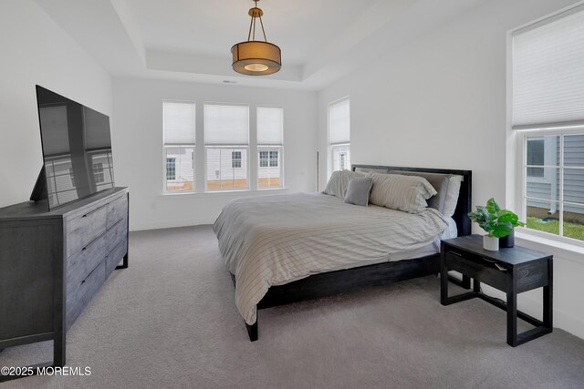 69 Starlight Dr, Monroe, NJ 08831 - bedroom with multiple windows, carpet floors, a raised ceiling, and baseboards