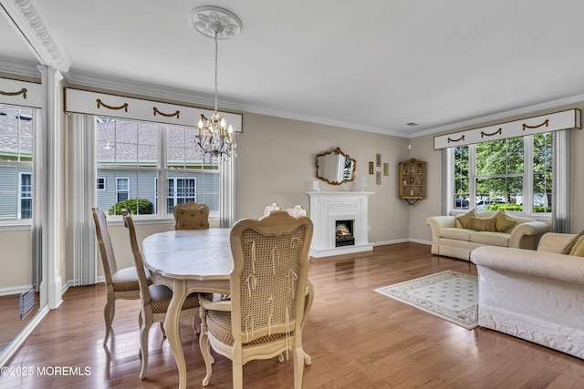 25 Bellflower Dr, Lakewood, NJ 08701 - dining room with ornamental molding, a chandelier, baseboards, wood finished floors, and a warm lit fireplace