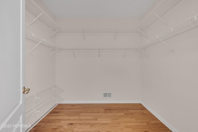 25 Bellflower Dr, Lakewood, NJ 08701 - walk in closet featuring light wood-type flooring