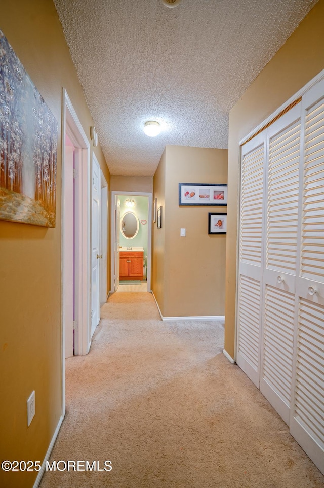 25 Atlantis Ter, Freehold, NJ 07728 - hallway with carpet floors, baseboards, and a textured ceiling