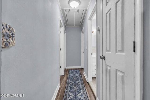 24 Delaware Trl, Browns Mills, NJ 08015 - hall with attic access, dark wood-style flooring, crown molding, and baseboards