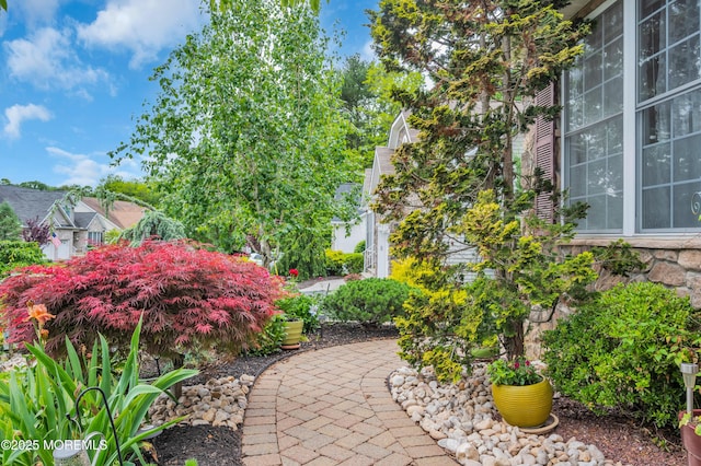 208 Bradwick Way, Marlboro, NJ 07746 - view of yard