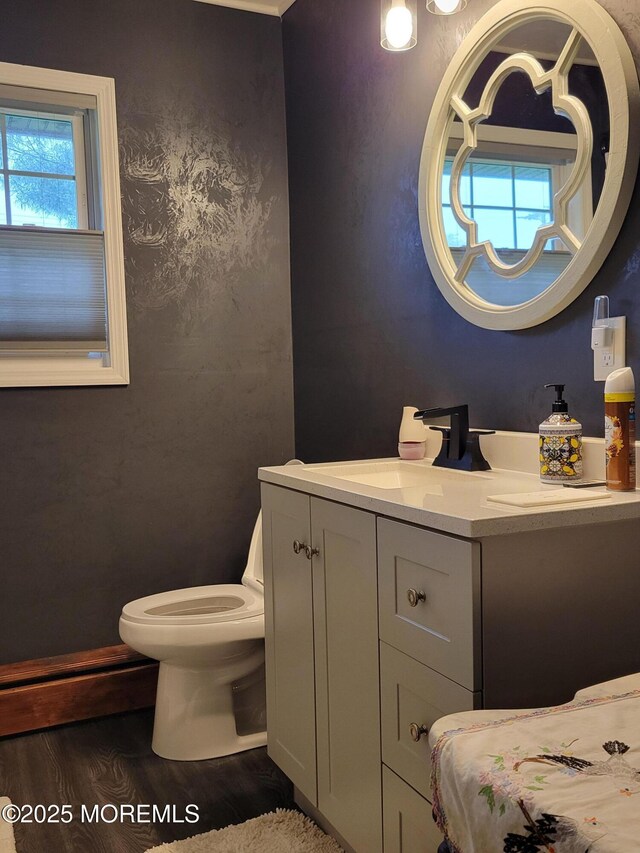 157 Taylors Mills Rd, Englishtown, NJ 07726 - half bathroom with wood finished floors, vanity, toilet, and healthy amount of natural light