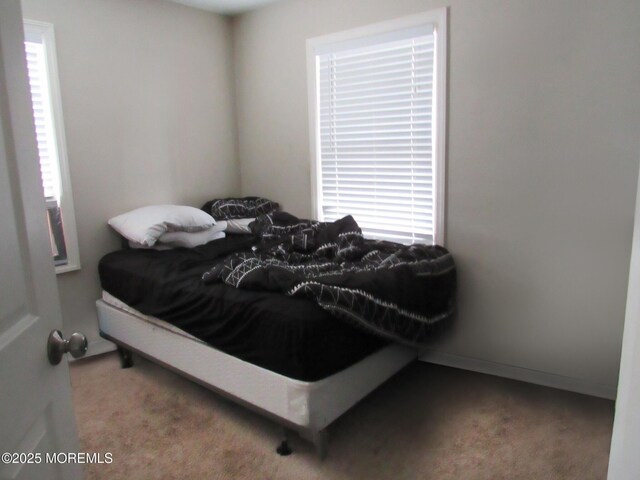 313 Merrimac Rd, Forked River, NJ 08731 - bedroom with carpet floors and multiple windows