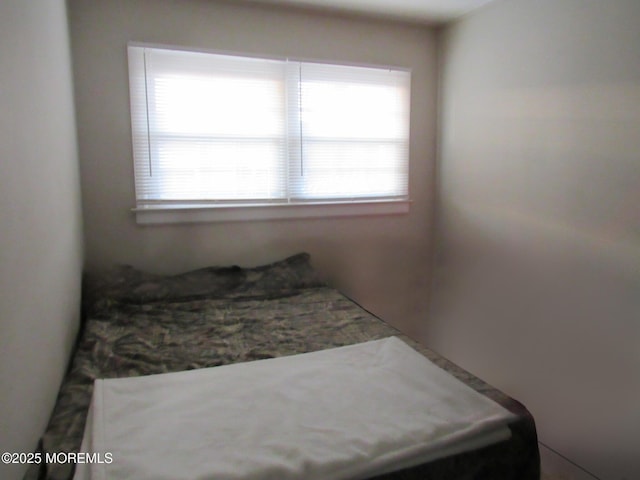 710 Baltic Dr, Brick, NJ 08723 - bedroom with multiple windows