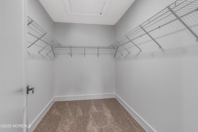 7 Cardinal Ave, Brick, NJ 08724 - walk in closet featuring carpet floors and attic access