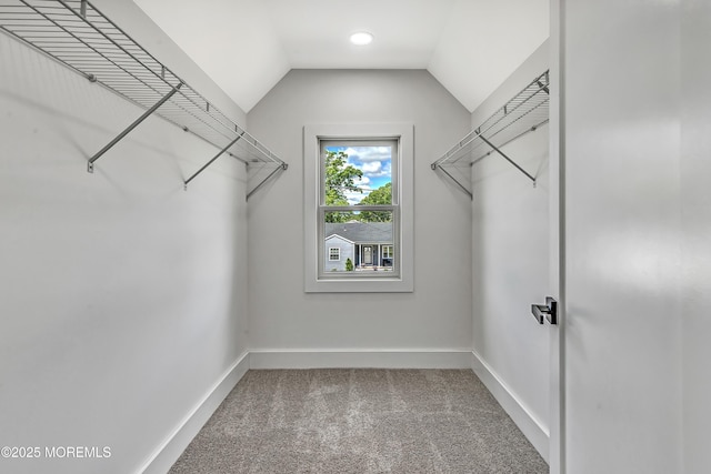 7 Cardinal Ave, Brick, NJ 08724 - walk in closet with carpet floors and vaulted ceiling