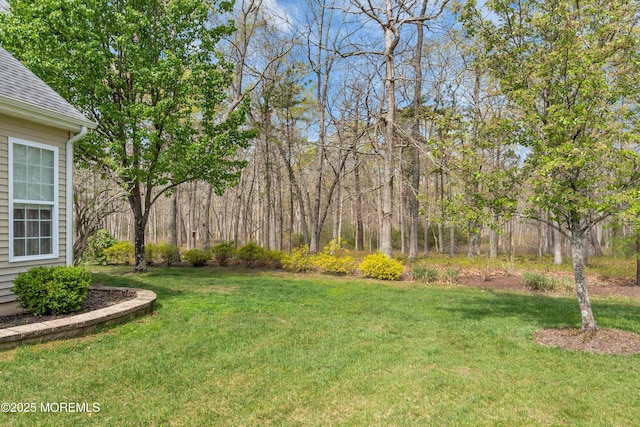 28 Pierhead Dr, Barnegat, NJ 08005 - view of green lawn