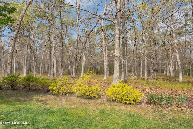 28 Pierhead Dr, Barnegat, NJ 08005 - view of yard with a forest view