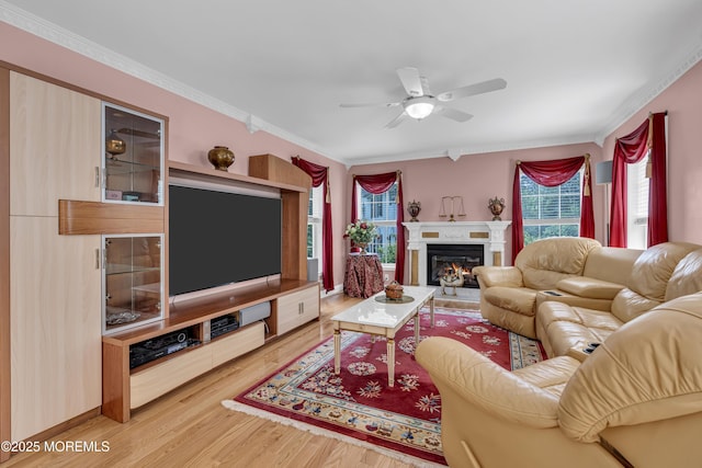 16 W Ave, Gladstone, NJ 07934 - living area featuring a ceiling fan, wood finished floors, crown molding, and a glass covered fireplace