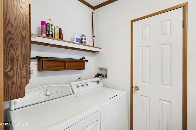846 Perrineville Rd, Jackson, NJ 08527 - photo 17