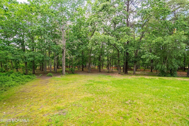 846 Perrineville Rd, Jackson, NJ 08527 - photo 18