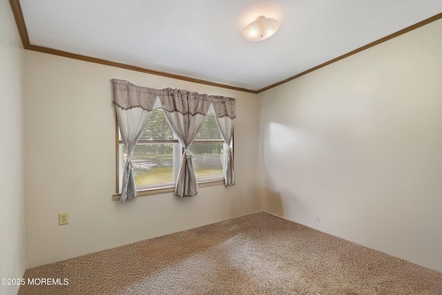 846 Perrineville Rd, Jackson, NJ 08527 - photo 15