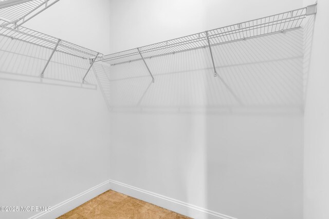 7 Centre St Unit 1303, Ocean Twp, NJ 07712 - walk in closet featuring carpet flooring