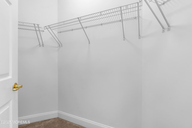7 Centre St Unit 1303, Ocean Twp, NJ 07712 - walk in closet featuring carpet floors