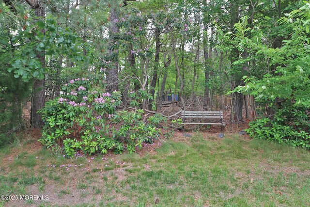 2028 Brookdale Dr, Forked River, NJ 08731