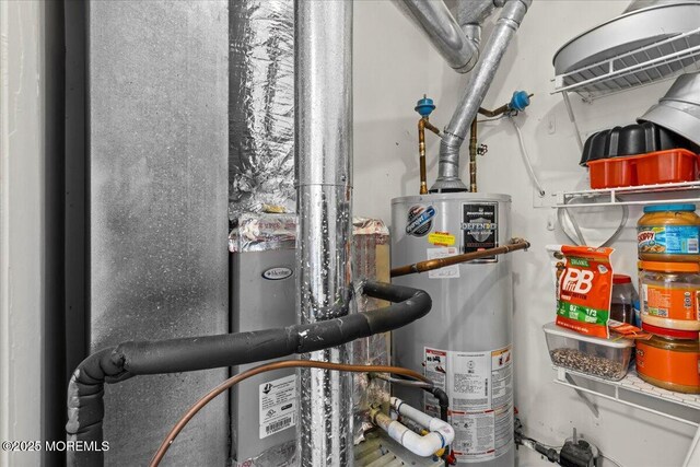 2001 Begonia Ct, Jackson, NJ 08527 - utilities featuring gas water heater