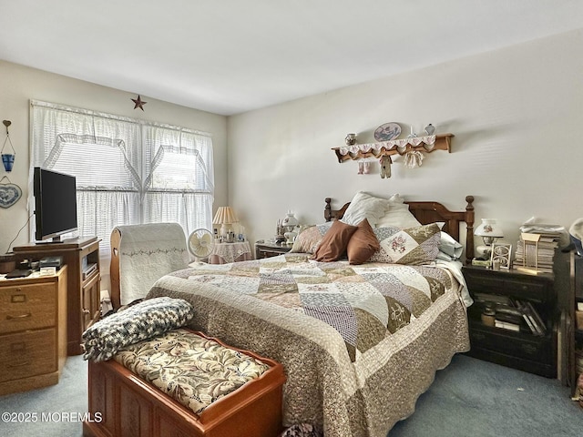 9 Sami Dr, Howell, NJ 07731 - view of carpeted bedroom