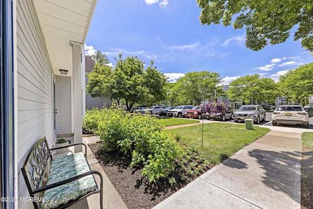 405 Hampton Ct Unit 15-4, Manalapan, NJ 07726 - view of grassy yard
