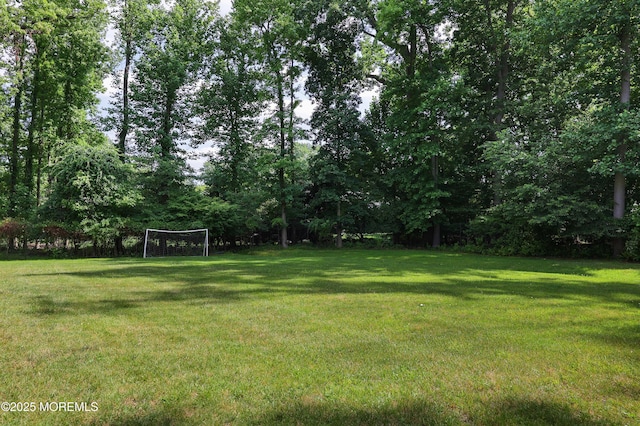 6 Bordens Brook Way, Holmdel, NJ 07733 - view of green lawn