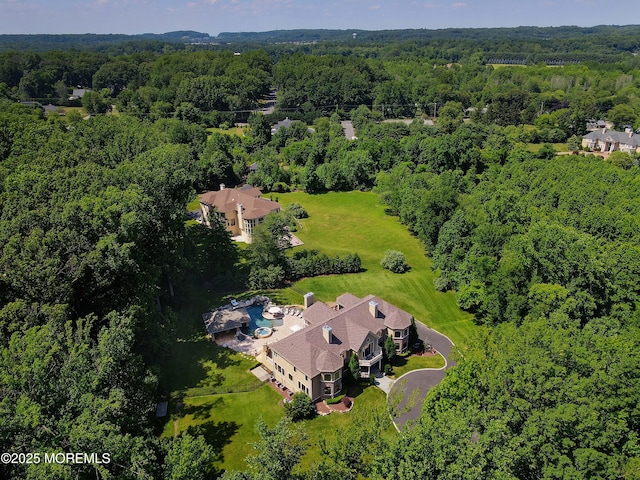 6 Bordens Brook Way, Holmdel, NJ 07733 - bird's eye view of a heavily wooded area