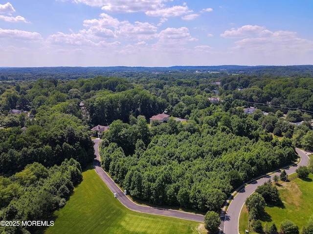 6 Bordens Brook Way, Holmdel, NJ 07733 - drone / aerial view of a heavily wooded area