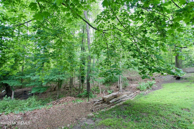 208 Hillcrest Ave, Neptune Township, NJ 07753 - view of tree filled area