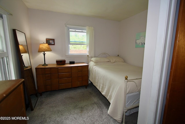 208 Hillcrest Ave, Neptune Township, NJ 07753 - bedroom with light carpet