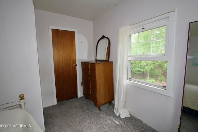208 Hillcrest Ave, Neptune Township, NJ 07753 - hallway featuring carpet flooring