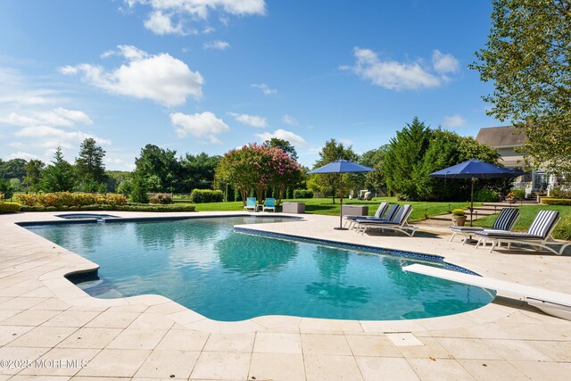 7 Stoney Brook Dr, Millstone, NJ 08510 - outdoor pool with a patio, an in-ground hot tub, and a diving board