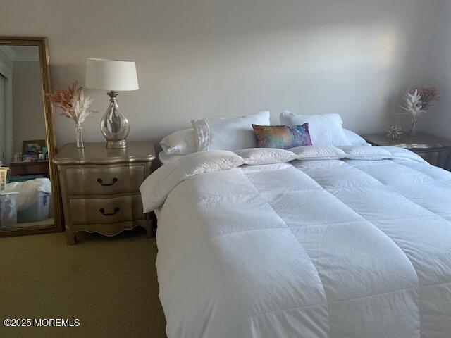 310 Maryland Ave Unit 11B, Point Pleasant Beach, NJ 08742 - view of bedroom