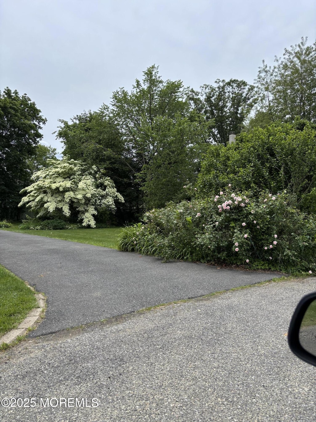 21 Alexander Ave, Freehold, NJ 07728 - view of street