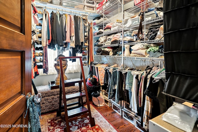 304 8th Ave, Belmar, NJ 07719 - walk in closet featuring wood finished floors