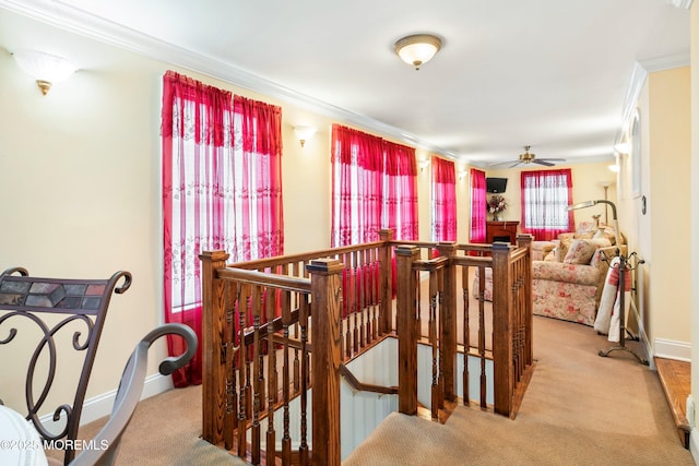 304 8th Ave, Belmar, NJ 07719 - stairs with crown molding, ceiling fan, baseboards, and carpet