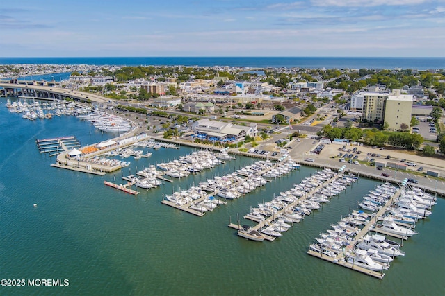 304 8th Ave, Belmar, NJ 07719 - bird's eye view of numerous boat docks and a large body of water