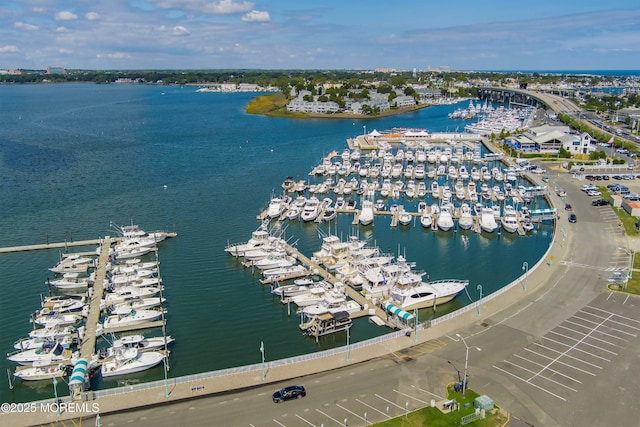 304 8th Ave, Belmar, NJ 07719 - aerial view of property's location with numerous boat docks and a nearby body of water