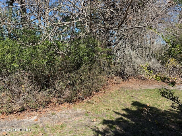 138 Hudson Pkwy Unit B, Whiting, NJ 08759 - view of yard
