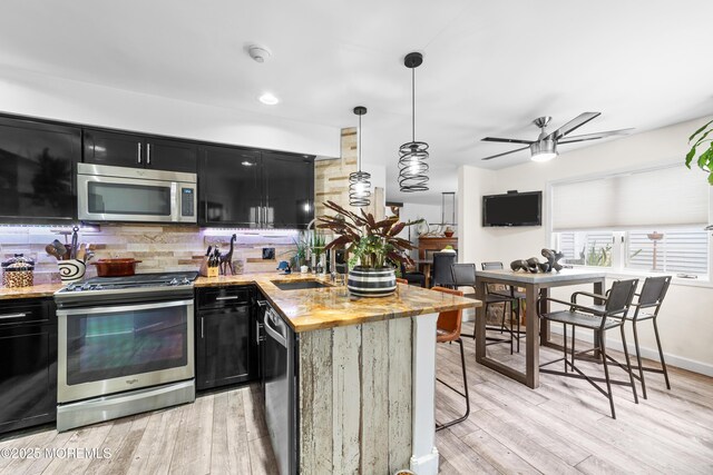 68 Winthrop Rd Unit 68B, Monroe, NJ 08831 - kitchen with stainless steel appliances, dark cabinetry, a sink, a ceiling fan, and light wood finished floors