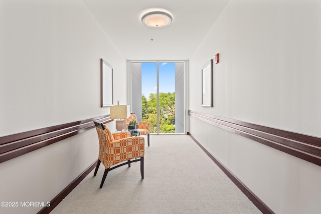 432 Ocean Blvd Unit 208, Long Branch, NJ 07740 - hallway featuring expansive windows, carpet, and baseboards