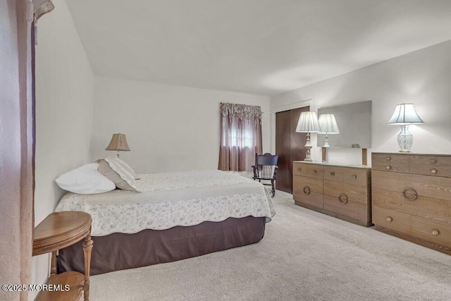 44 Hoover St, Freehold, NJ 07728 - bedroom featuring light colored carpet and a closet