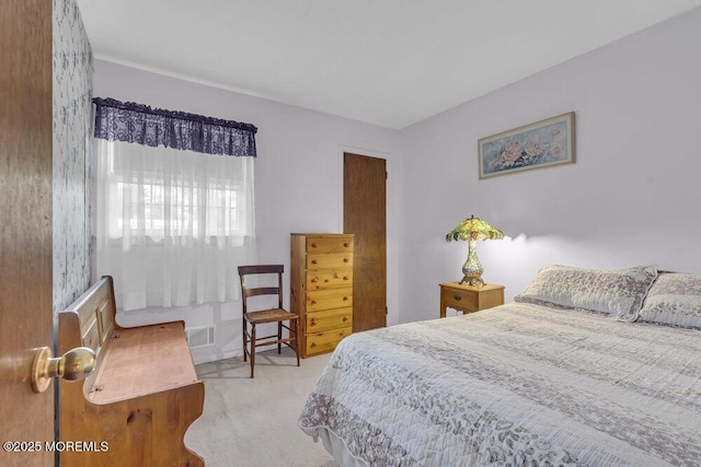 44 Hoover St, Freehold, NJ 07728 - view of carpeted bedroom