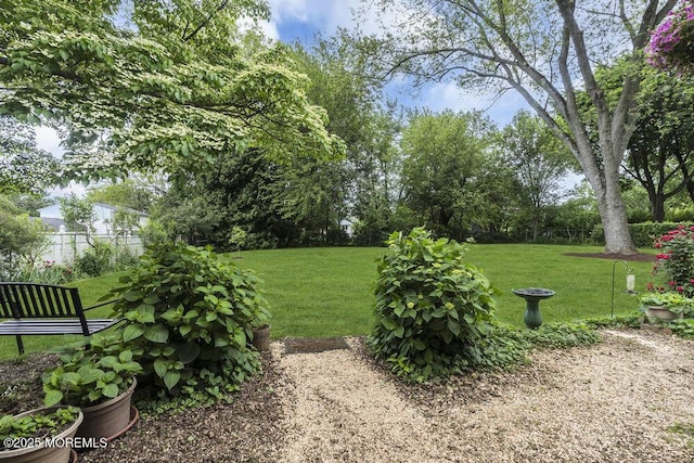 44 Hoover St, Freehold, NJ 07728 - view of grassy yard