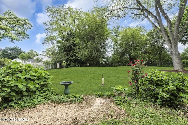 44 Hoover St, Freehold, NJ 07728 - view of yard