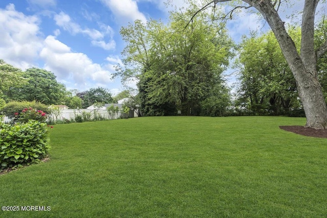 44 Hoover St, Freehold, NJ 07728 - view of yard