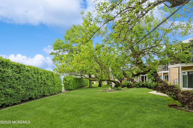 324 Shore Dr Unit A10, Highlands, NJ 07732 - view of green lawn