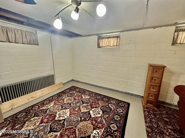 8 Spruce St, Toms River, NJ 08753 - basement featuring a ceiling fan