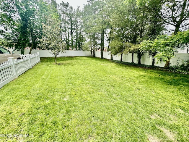 8 Spruce St, Toms River, NJ 08753 - view of yard